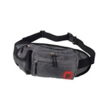 dog walking bag